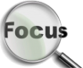 The SEO System allows you to focus on your business.