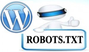 robots.txt file for wordpress site
