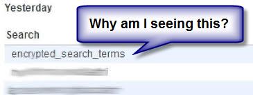 encrypted search terms WordPress