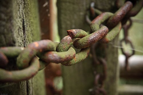 remove bad backlinks