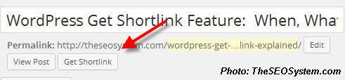 wordpress get shortlink feature wp.me